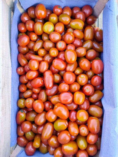 Cajón de Tomates Cherry Orgánico x 9 Kg. (Variedad: Cherry - Origen: Jujuy)