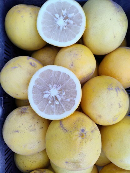 Pomelo Agroecológico x 13/14 Kg. (Variedad: Amarillo)