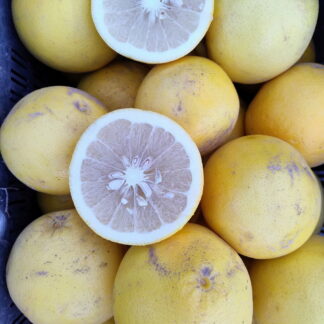 Pomelo Agroecológico x 8 Kg. (Variedad: Amarillo) Está re Jugoso!!
