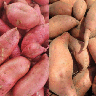 MIX de BONIATOS y BATATA MORADA x 8 Kg. (Producción Yuyupa, Cruz del Eje y Tucuman)