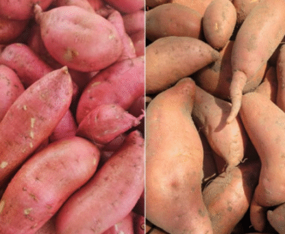 MIX de BONIATOS y BATATA MORADA x 8 Kg. (Producción Yuyupa, Cruz del Eje y Tucuman)