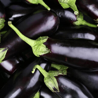 Berenjenas Orgánicas x 5 Kg. - Jujuy - (Variedad: Negra)