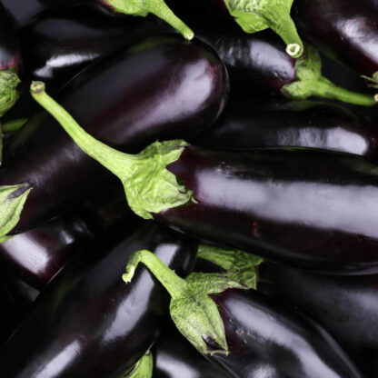 Berenjenas Orgánicas x 5 Kg. - Jujuy - (Variedad: Negra)