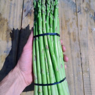 Espárragos Agroecológico x 3 Atados de 500 gr, San Marcos Sierras