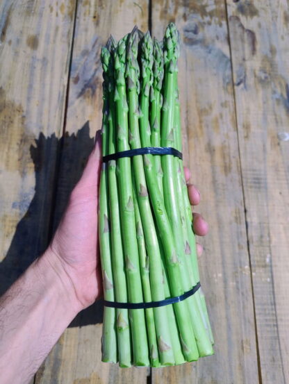 Espárragos Agroecológico x 3 Atados de 500 gr, San Marcos Sierras