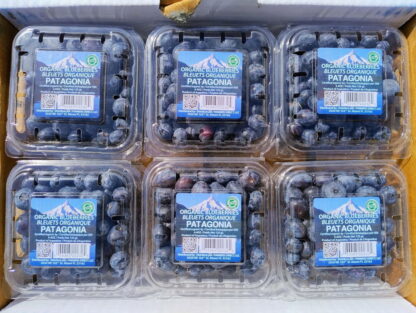 Arándanos Agroecológicos 6 Bandejas x 125 Gr.  (Origen Tucumán) - Image 3