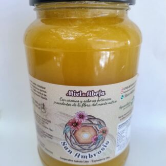 Miel Pura Agroecológica x Kg. ''Asociación de Apicultores Traslasierra''