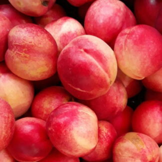 Durazno Pelón Agroecologico x 5 Kg. (Variedad: Caldessi)