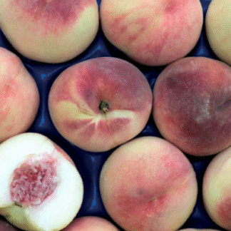 Duraznos Agroecológicos x 10 Kg. (Variedad: Maria Bianca) - Mendoza-