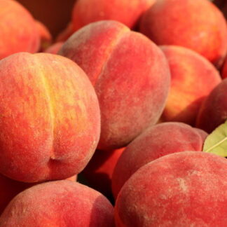 Duraznos Agroecológicos x 12 Kg. (Variedad: Flavor Crest) - Mendoza -