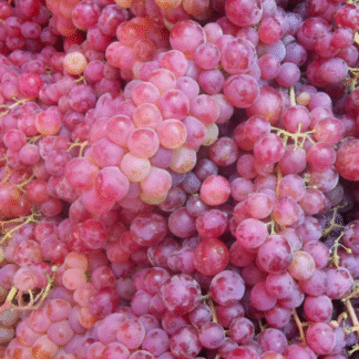 Uvas Orgánicas x 6 Kg. (Variedad: Rosada)