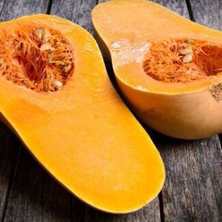 Anco Orgánico x Kg. (Variedad: Coquena)