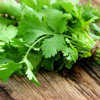 Atado de Cilantro Agroecológico