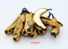 Bananas Orgánicas x Kg. (Variedad: Cavendish)