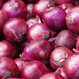 Cebolla Orgánica x 1/2 Kg. (Variedad: Morada)