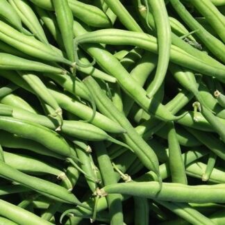 Chaucha Agroecológica x 1/2 Kg.