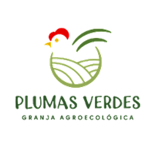 Huevos Agroecológicos de Granja x Docena Plumas Verdes - Image 3