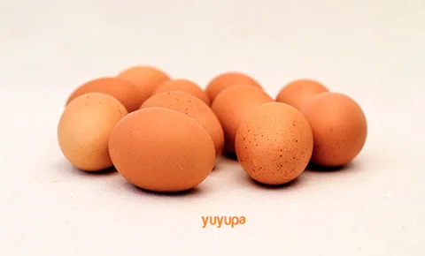 Huevos Agroecológicos de Granja x Media Docena Plumas Verdes