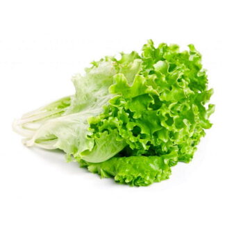 Lechuga Agroecológica x Unidad (Variedad: Lechuguin)