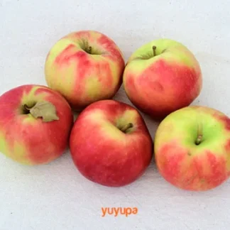 Manzana Roja Orgánica x 1/2 Kg. (Variedad: Cripps Pink)