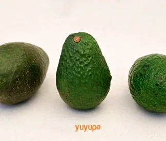 Palta Agroecológica x 1/2 Kg. (Variedad: Hass)