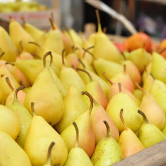 Pera Orgánica 1/2 x Kg. (Variedad: Williams)