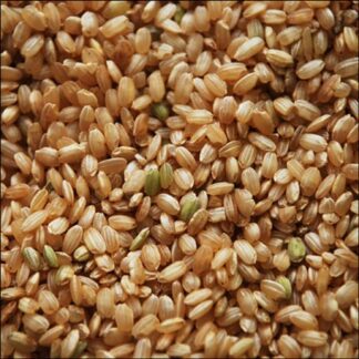 Arroz Yamaní Integral Agroecológico x 1 Kg. Caupolican