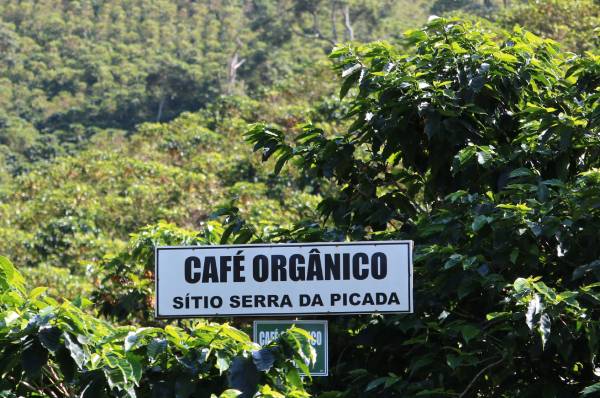 Café Orgánico Molido x 250 Gr. Las Flores (Origen: Brasil) - Imagen 3