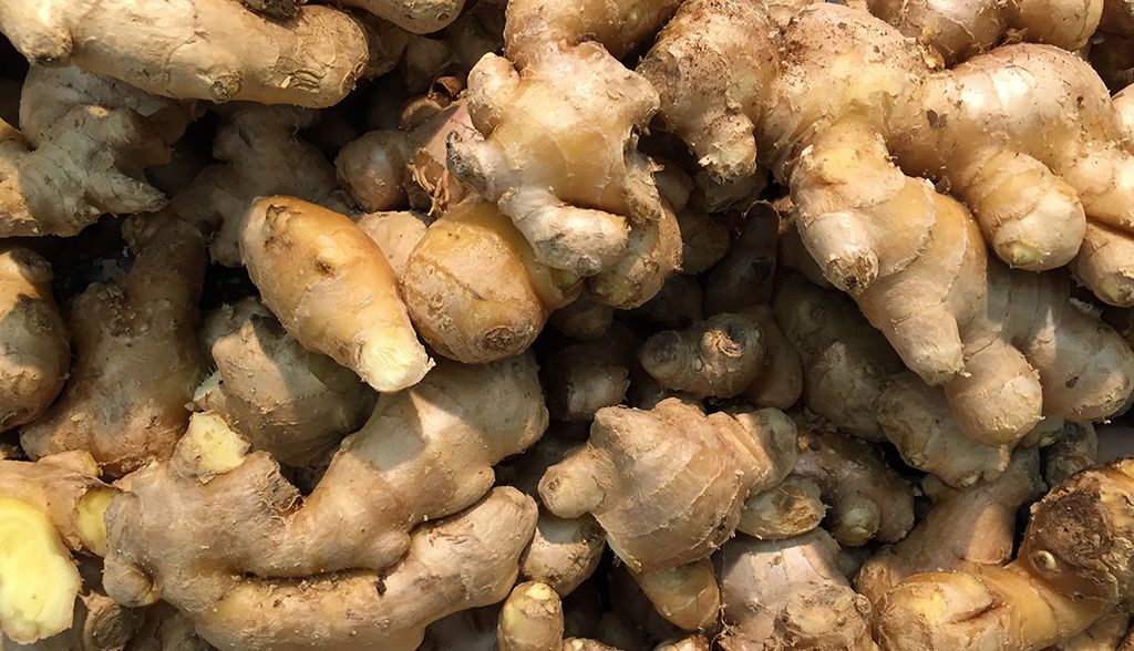 Jengibre Agroecológico x 1/4 Kg.