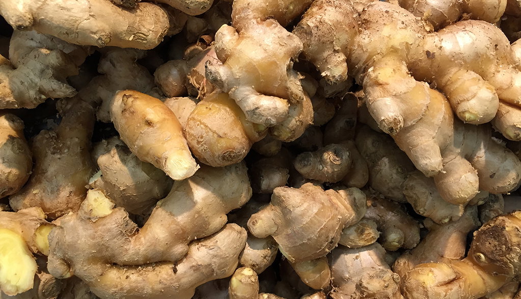 Jengibre Agroecológico x 1 Kg.