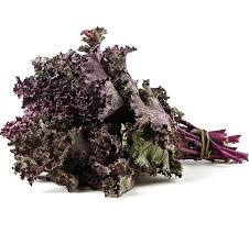 Kale Agroecológico x Atado (Variedad: Morado)