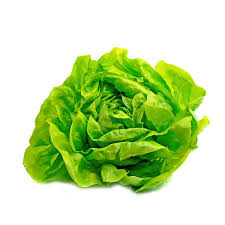 Lechuga Agroecológica x Unidad (Variedad: Criolla)