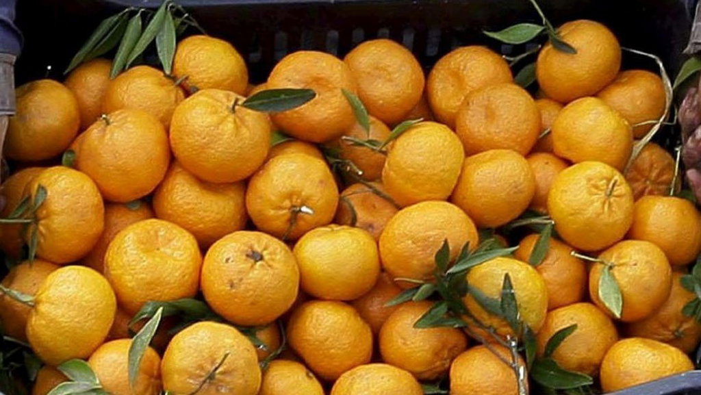 Mandarinas Orgánicas x 1/2 Kg. (Variedad: Nova)