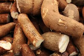 Mandioca Agroecológica x 1/2 Kg.