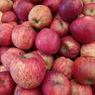 Manzana Roja Orgánica x 1 Kg. (Variedad: Red Delicious)