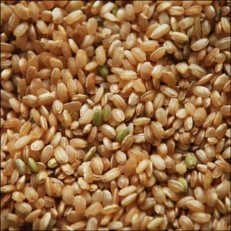 Pack de 6 Unidades de Arroz Yamani Integral Agroecológico x 1 Kg. Caupoulican
