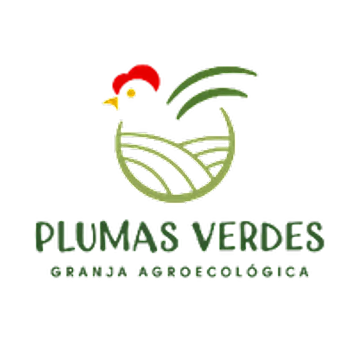 Pack x 3 Bandejas de Pata Muslo Deshuesada de Pollo de Pastura Plumas Verdes (1kg. aprox. c/bandeja) - Image 3