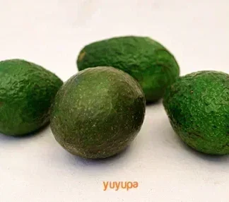 Palta Agroecológica x 1 Kg. (Variedad: Ettinger)