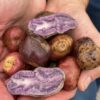 Papines Andinos Agroecológicos x 1/2 Kg. (Variedades: Oca & Andinos)