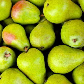 Pera Orgánica x 1 Kg. (Variedad: Packham Triumph)