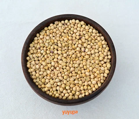 Porotos Agroecológicos x 1/2 Kg. (Variedad: Soja) - Image 3