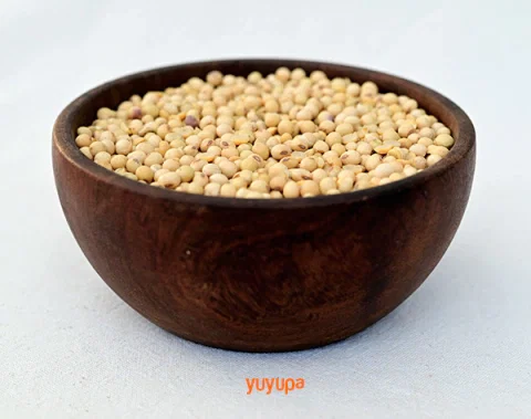 Porotos Agroecológicos x 1/2 Kg. (Variedad: Soja)