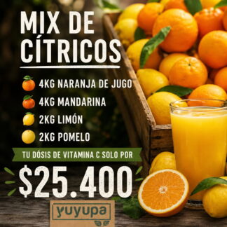 Promo Cajón Mix de Citricos (Incluye: 4 Kg. Mandarinas + 4 Kg. Naranjas de Jugo + 2 Kg. Pomelos + 2 Kg. Limones)