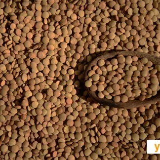 Lentejas Orgánicas x 1 Kg. Salve la Tierra