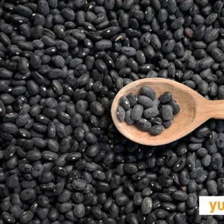 Porotos Orgánicos x 1 Kg. Salve la Tierra (Variedad: Negros)