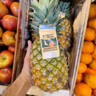 Ananá Agroecologica x Unidad