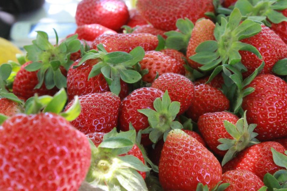 Frutillas Agroecológicas x 1/2 Kg. - Image 3
