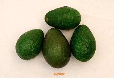 Palta Agroecológica x 1/2 Kg. (Variedad: Bacon)