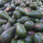 Palta Agroecológica x 1Kg. (Variedad: Torre)